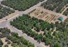 Estidamah, FAO community seed bank initiative-GCC Business News