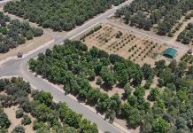 Estidamah, FAO community seed bank initiative-GCC Business News