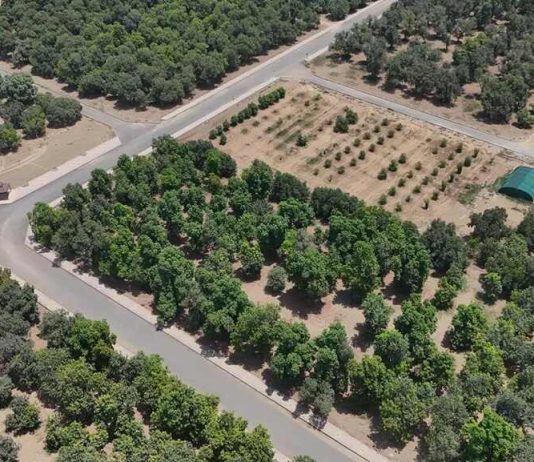 Estidamah, FAO community seed bank initiative-GCC Business News
