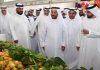 Khorfakkan Mango Festival 2026 kicks off
