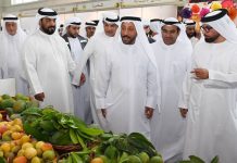 Khorfakkan Mango Festival 2026 kicks off