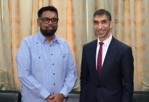 UAE and Guyana trade and investment partnership-GCC Business News