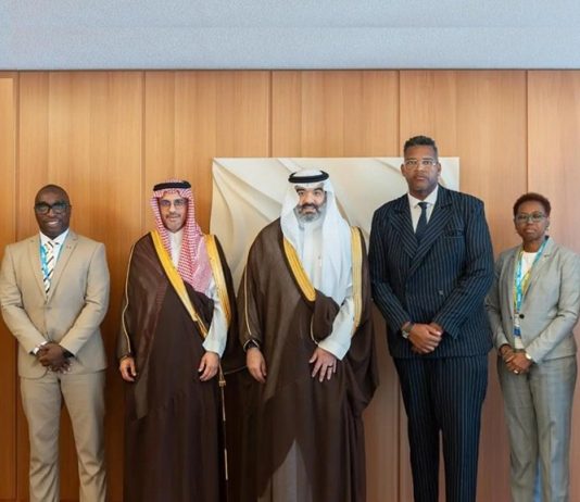Saudi Arabia boosts AI, Digital economy ties in Geneva- GCC Business News