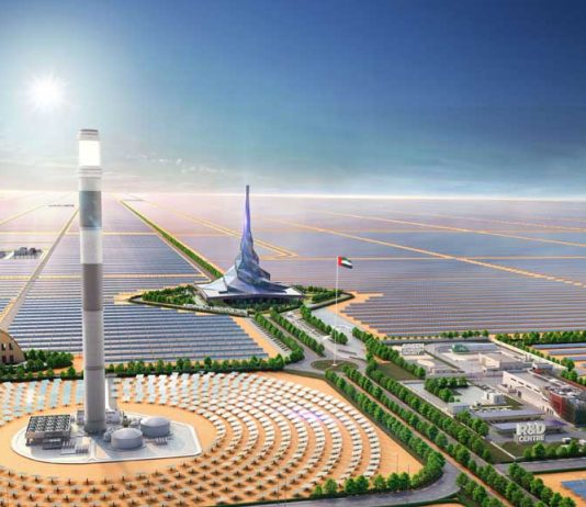 DEWA tops in 13 key performance indicators
