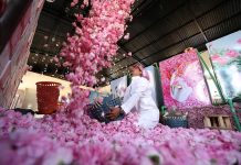 Taif strengthens tourism with rural, eco-tourism experiences Taif strengthens tourism sector with nature-based experiences-GCC Business News