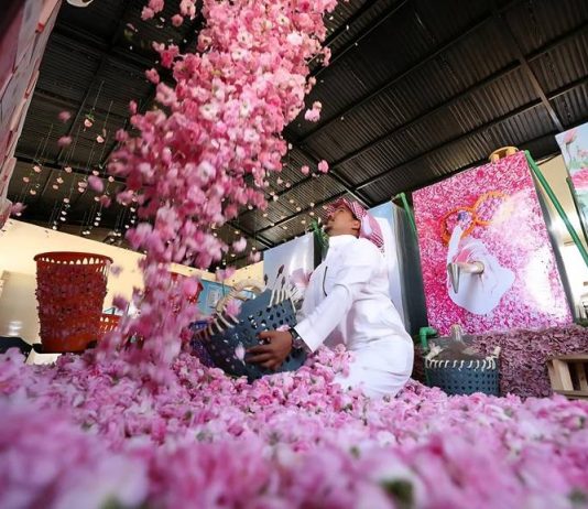 Taif strengthens tourism sector with nature-based experiences-GCC Business News