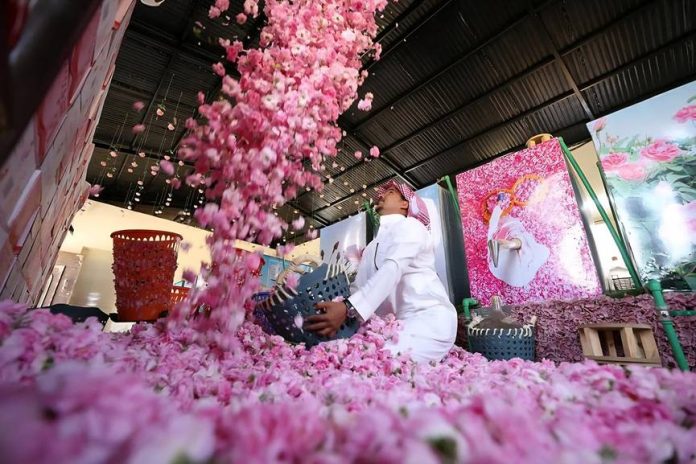 Taif strengthens tourism sector with nature-based experiences-GCC Business News Taif strengthens tourism sector with nature-based experiences-GCC Business News