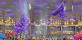 Qatar launches second edition of Purple Saturday initiative Qatar launches second edition of Purple Saturday initiative-GCC Business News