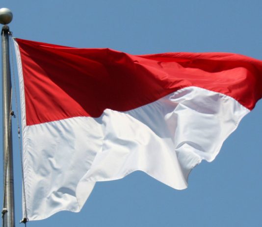 Indonesia launches new gas project